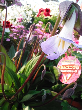 20140315キレね??