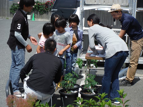 20140524プランター配布