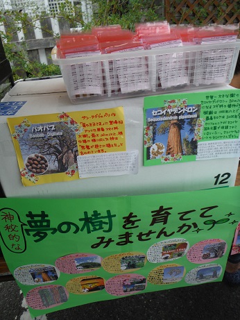 20140712動物園の木4