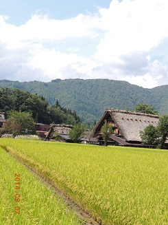 20140906白川郷2