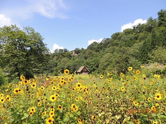 20140906白川郷3