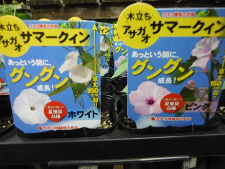 20150510木立さまーくいん