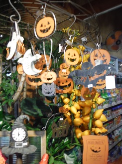 20151002ハロウィン きつね