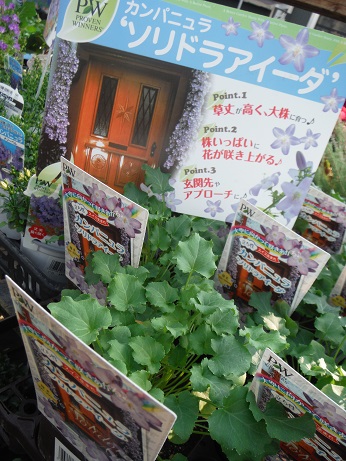 20151024そりどら