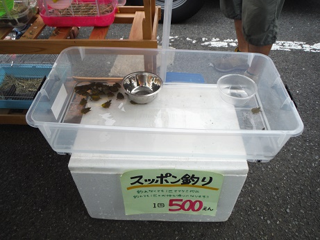 20160716え すっぽん吊り