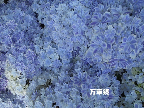 201705054H万華鏡