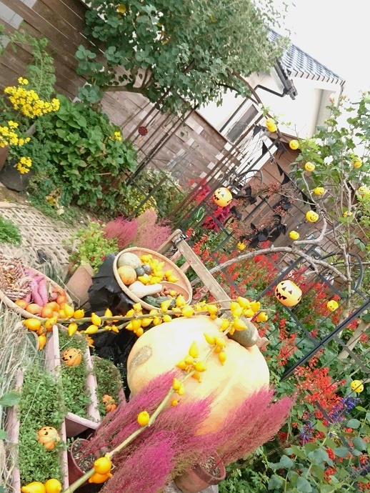 20171028 ハロウィン