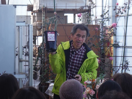 20190120ばら2