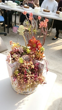 20190303フェス2