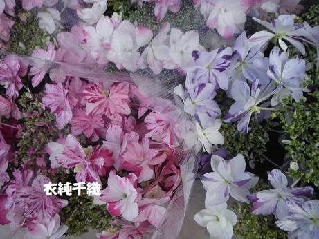 20190505 いずみちおり