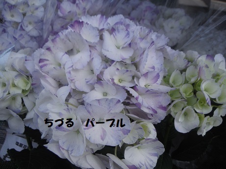 20190505 ちづる