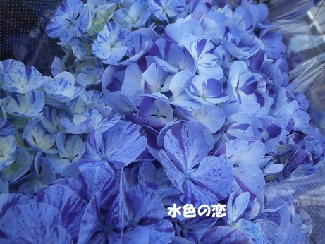 20190505 水色の恋