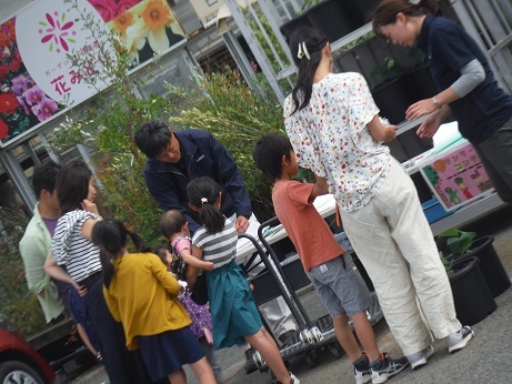 20190523 お 野菜プランター
