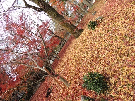 20191208 永観堂2